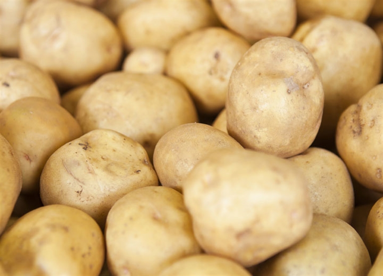 Conservazione di alimenti