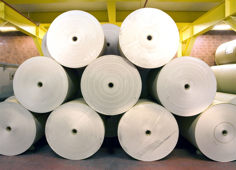 Industria della carta e della pasta di legno