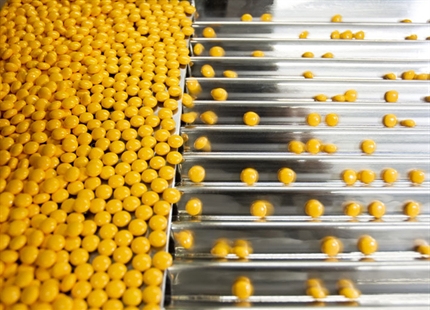 Produzione di prodotti farmaceutici