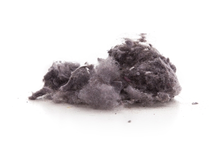 Perché umidificare l'aria contro le allergie?