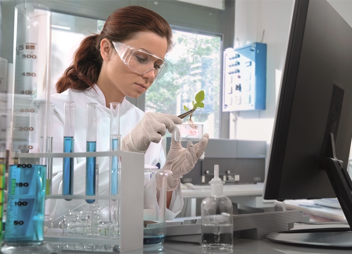 Industria farmaceutica