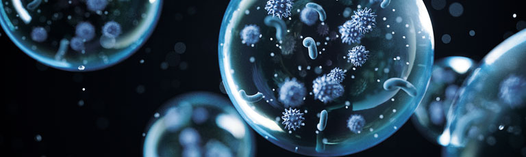 Lo dimostra una nuova ricerca dell'Università di Yale