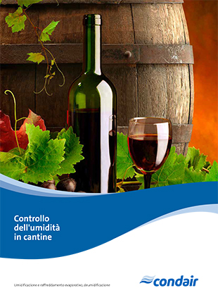 caverne del vino